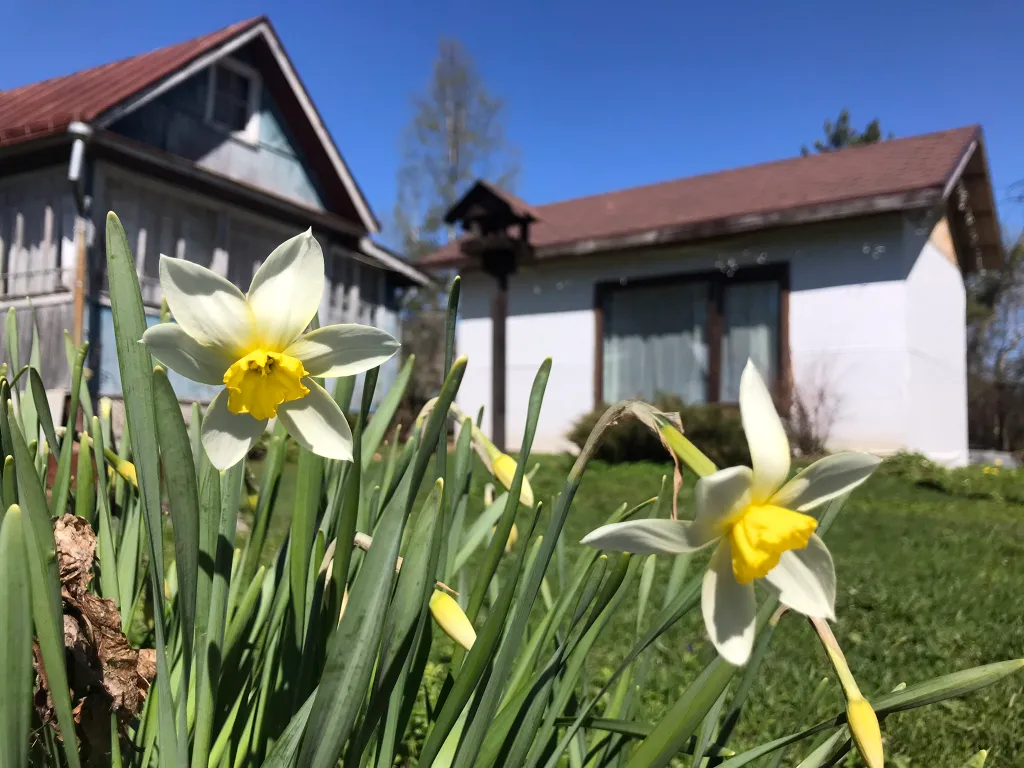 Дачный домик