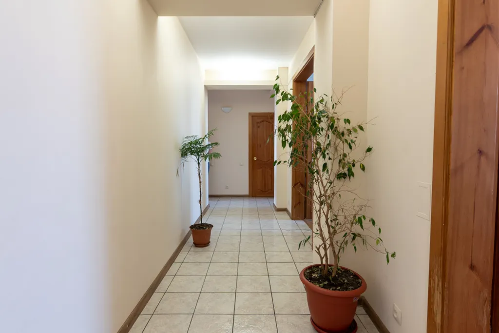 Апартаменты у Кремля