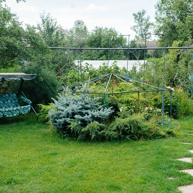 Домик прямо на берегу озера Тосканка