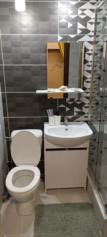 Zebra от Resident Ufa