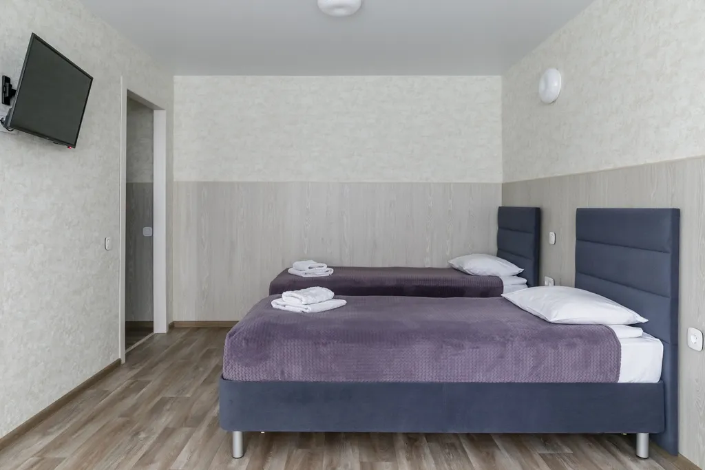 Квартира Уютные апартаменты с раздельными кроватями — аренда посуточно в Омск