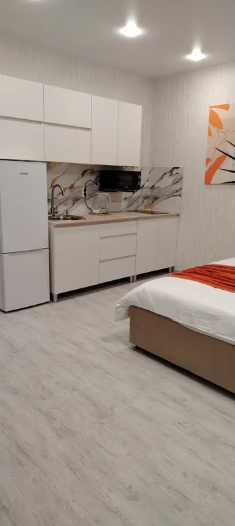 Стильная, уютная студия