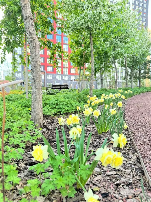 Квартира Квартира в новом ЖК Современник — Екатеринбург