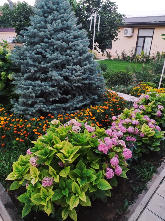 Райский уголок