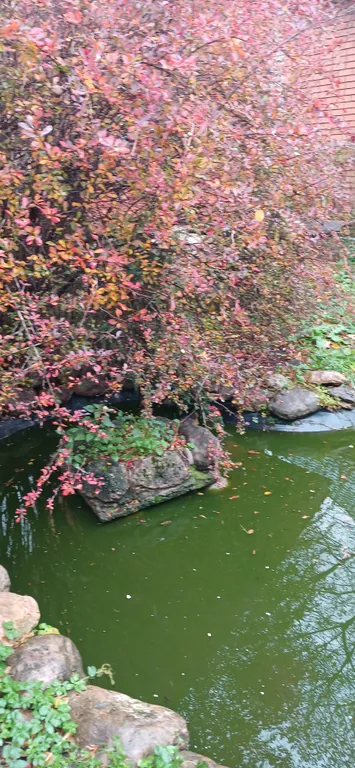 Уютный домик