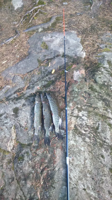 Коттедж Скандинавия - дом на берегу Онежского озера в 25 километрах от Петрозаводска — Деревянное