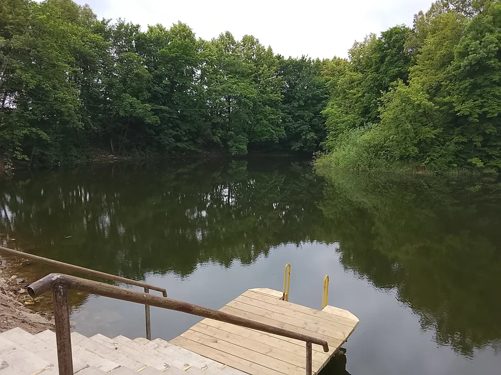 Большой дом