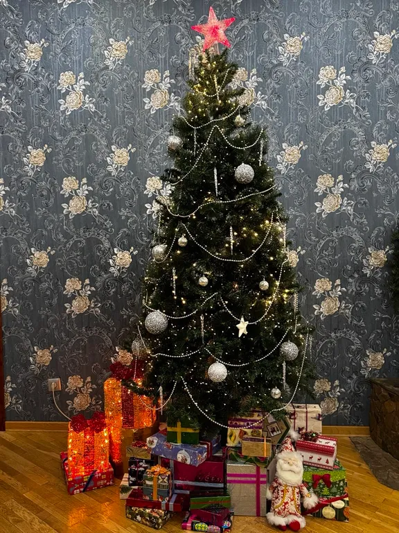 Уютный дом рядом с лесом