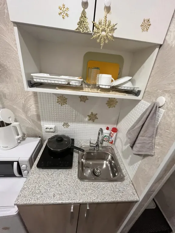 Студия в центре города с кондиционером