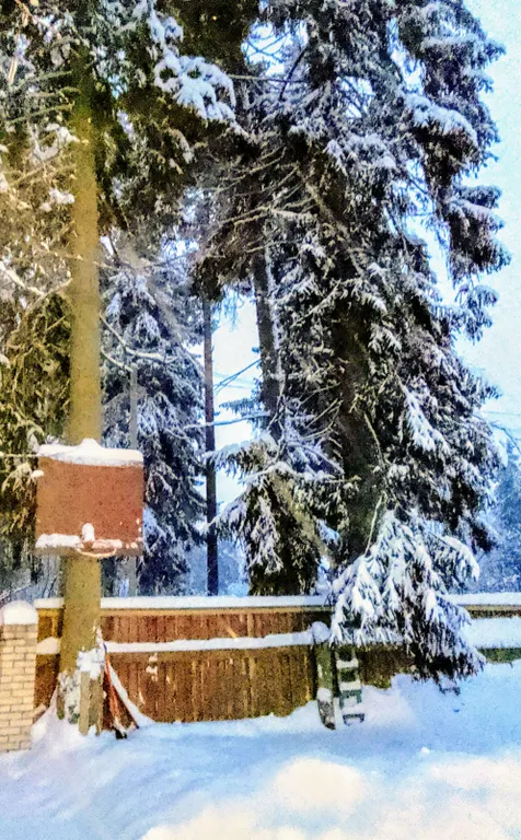 Коттедж Чудесный домик в парке — Сиверский