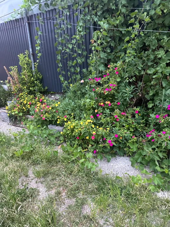 Дом под ключ