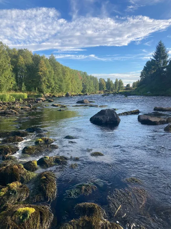 Дом у реки Сумы