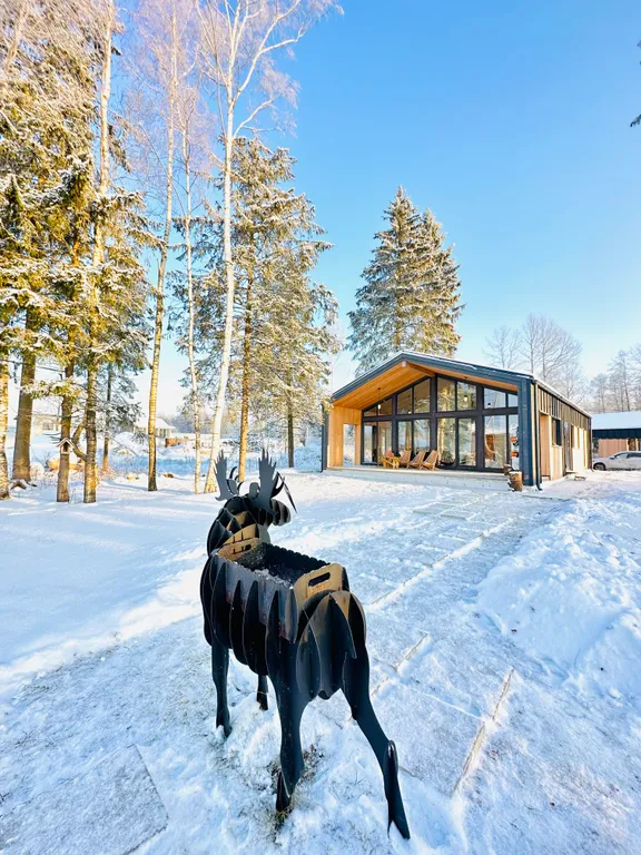 Коттедж Новые зимние дома в 5 минутах от главных горнолыжных курортов — Коробицыно