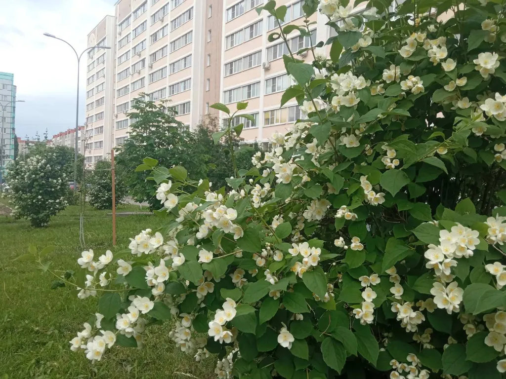 Уютная квартира рядом с трассой м5