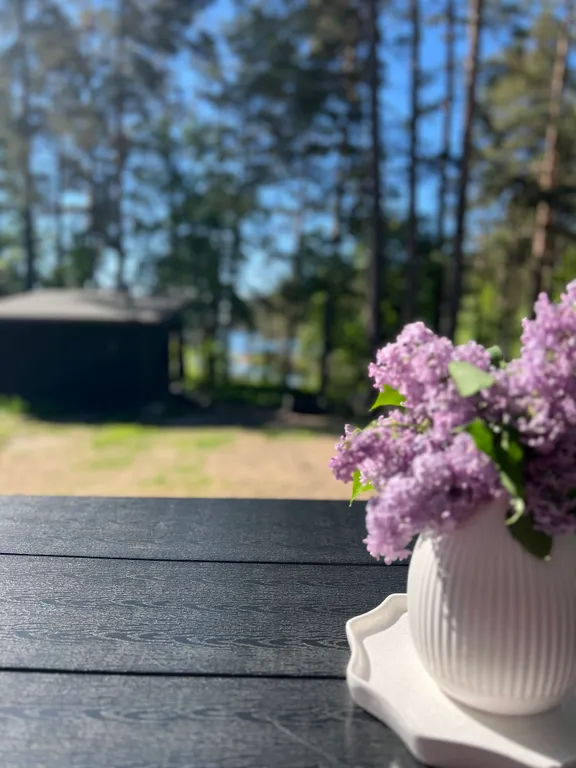 Стильный дом на берегу Ладожского озера с панорамным видом