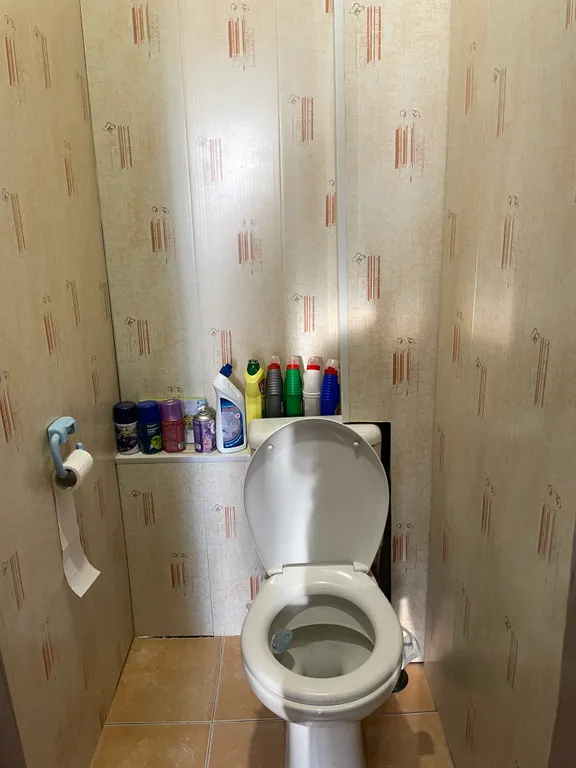 Комната с видом на Неву)