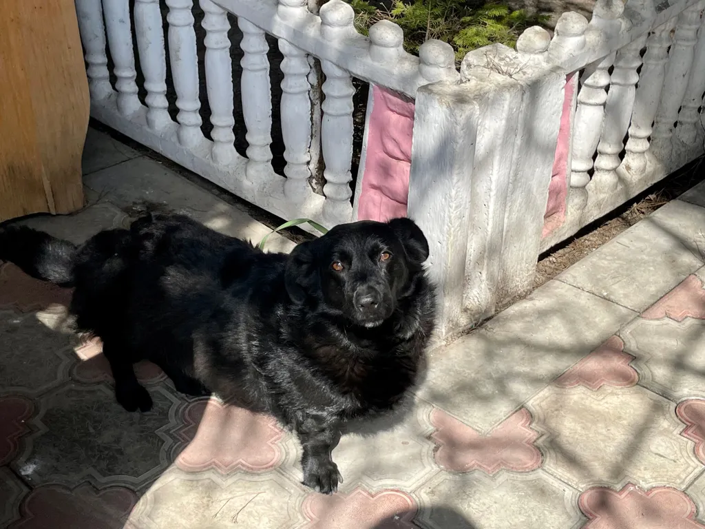 4-комнатный Дом