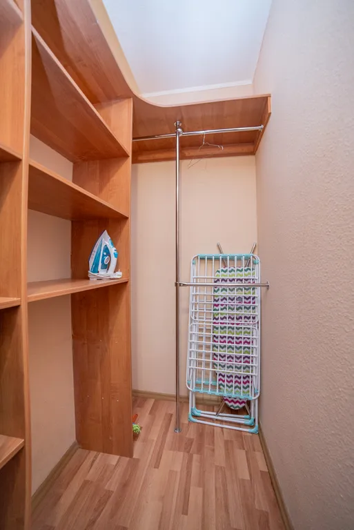 Бриз у благородного леса