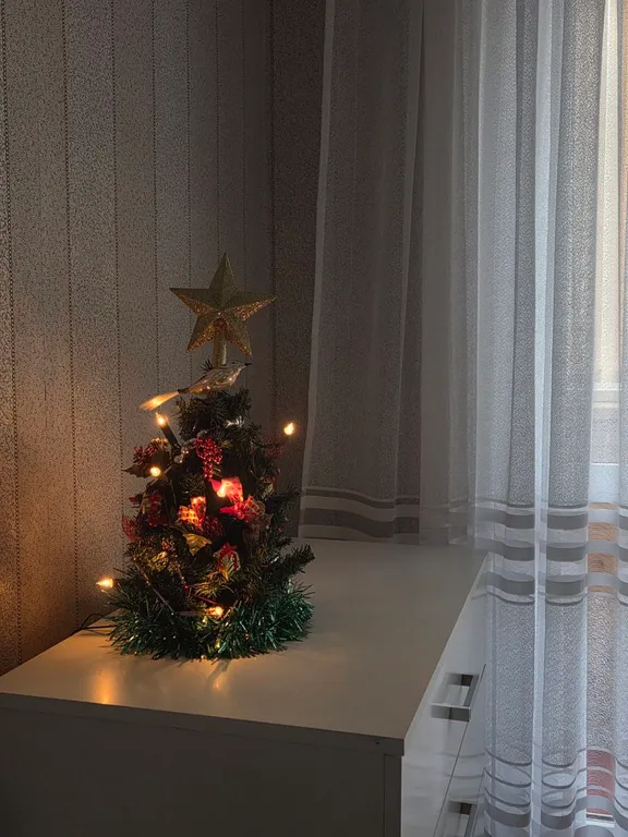 Уютная квартира с видом на парк