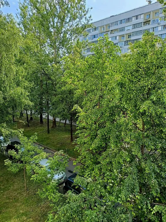 Квартира в Строгино