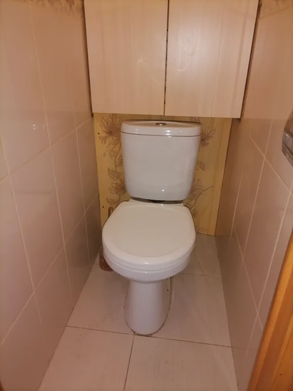 Комната у метро Проспект Просвещения