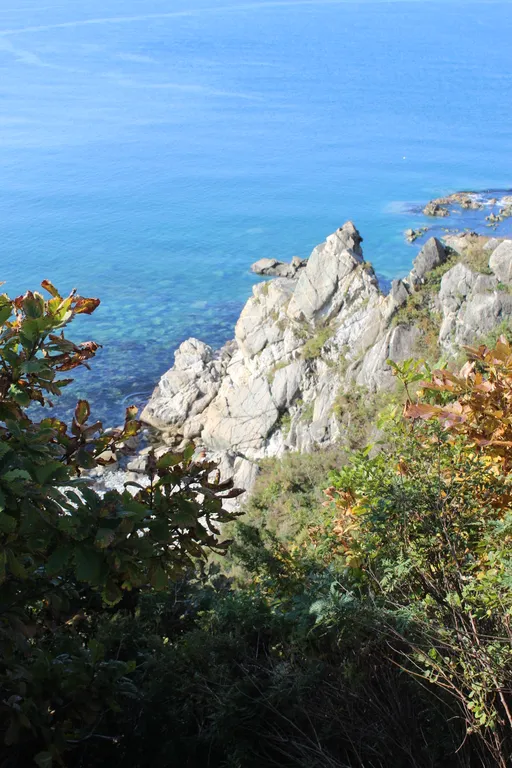 Квартира с видом на море в ливадии