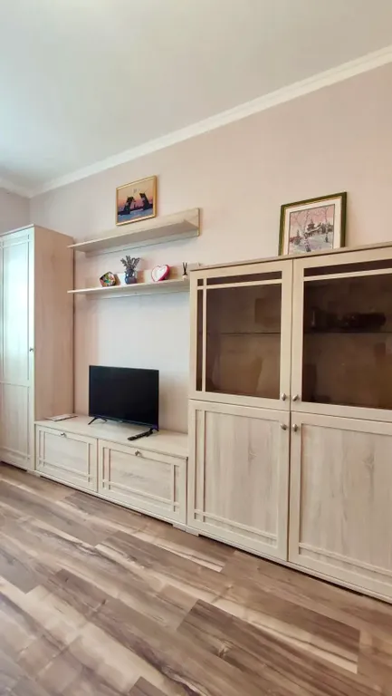 Уютная однокомнатная квартира на берегу Балтийского моря