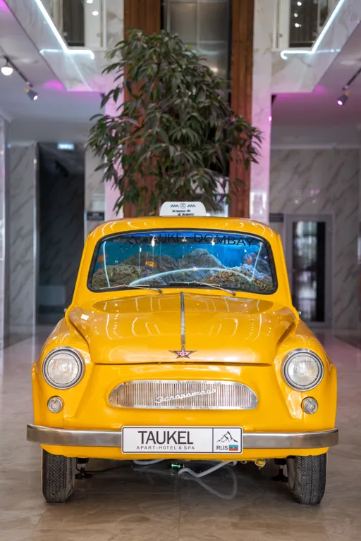 Просторный апартамент с кухней