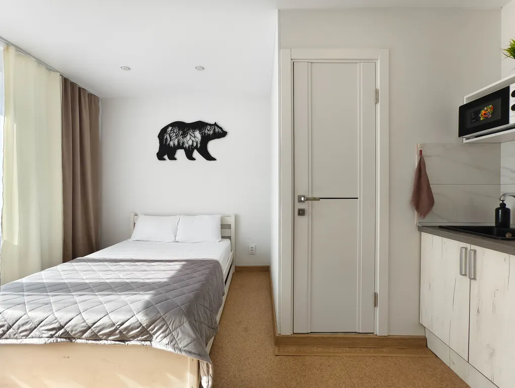 Квартира - студия Весны 1