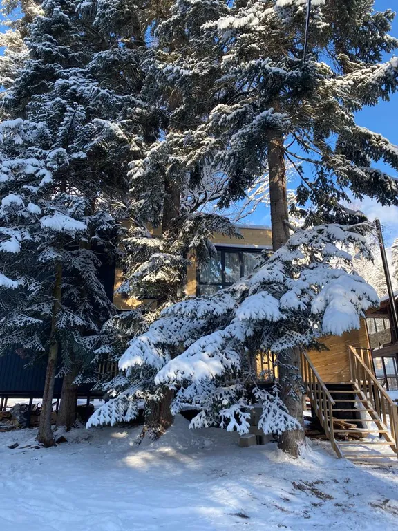 Уютный дом с прекрасными видами