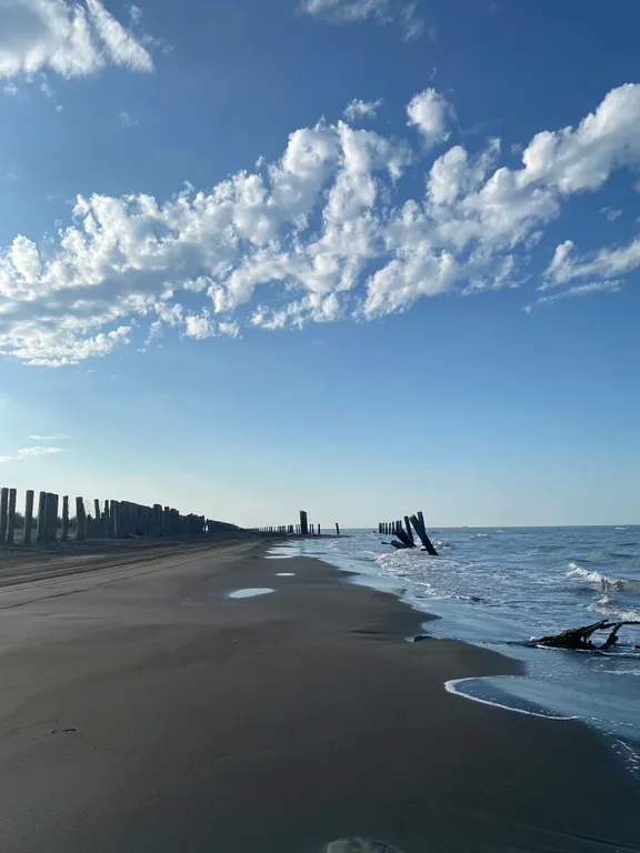 Дом из сруба в Самурском лесу