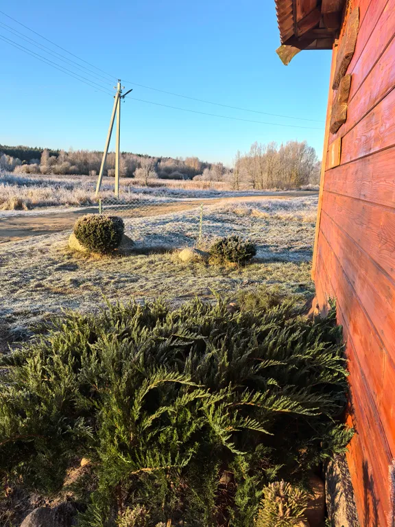 Домик-музей в Беловежской Пуще Беловежская светлица с печью и огнем
