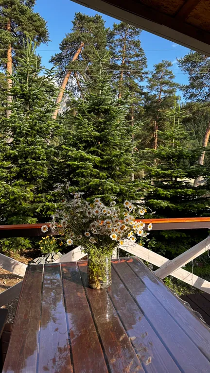 Гостевой дом-под небом архыза