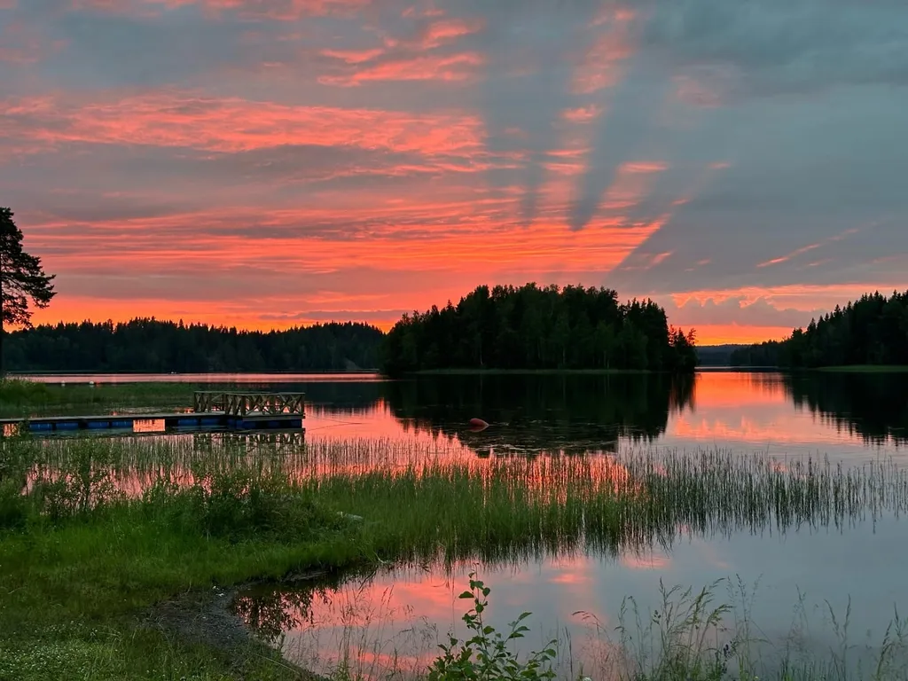 Домик У Ёлки