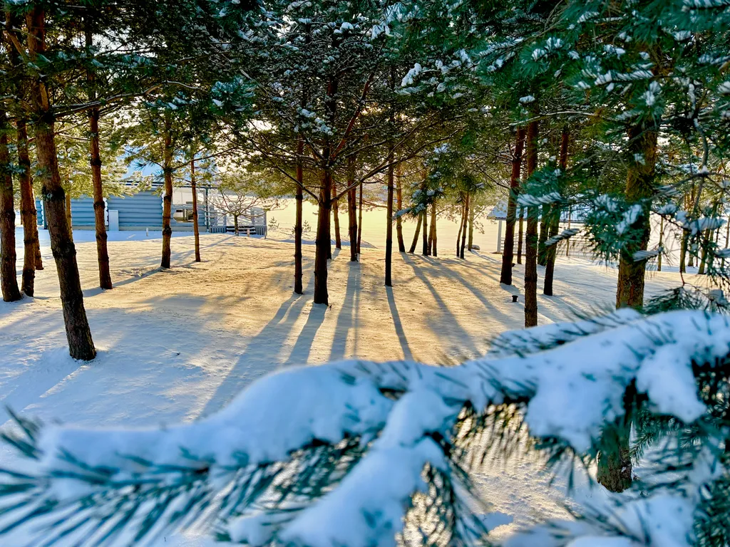 Коттедж 1-комнатный Дом — Сясьстрой