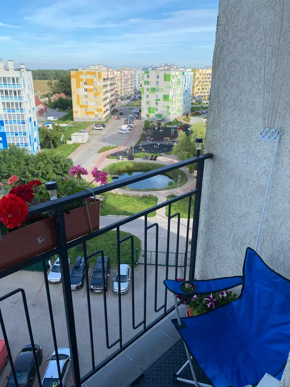 Квартира Уютная квартира с красивым видом — Светлогорск