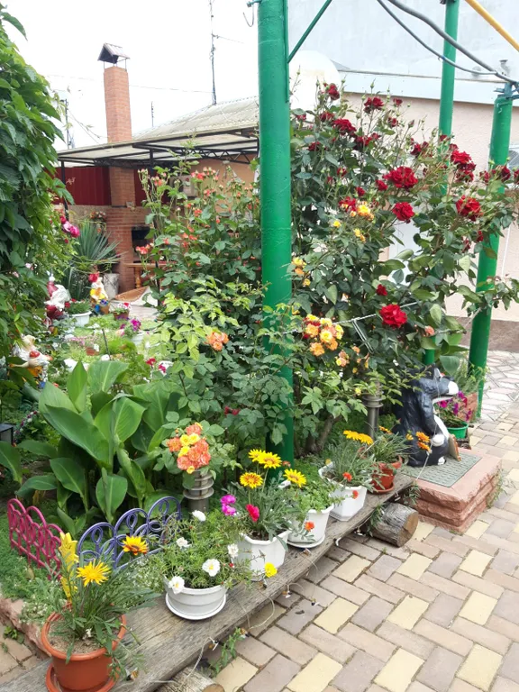 Уютные апартаменты