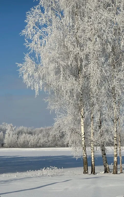 Дом 2 этажа на 10 гостей с сибирским чаном и баней