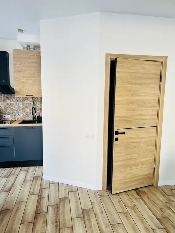 Квартира 1-комнатная Квартира — Сириус