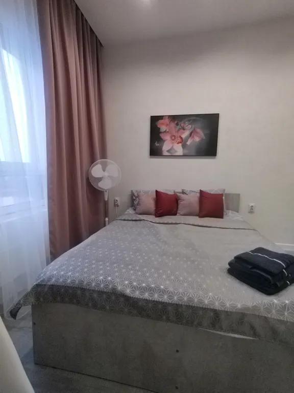 Студия с видом