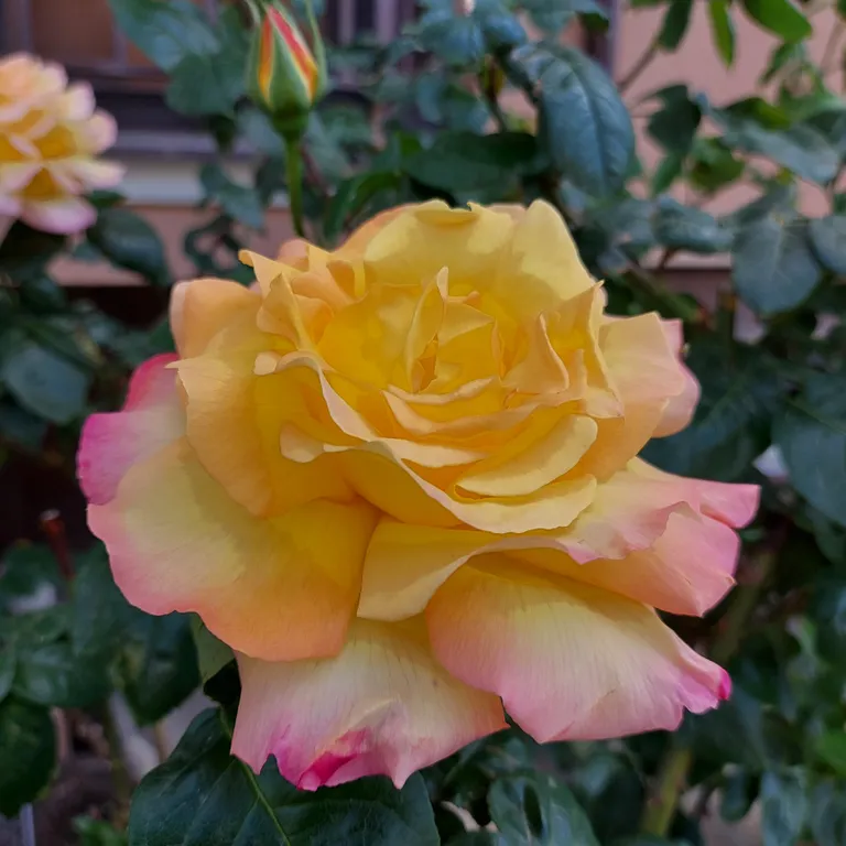 Квартира Квартира Студия с видом на море рядом с парком — Анапа