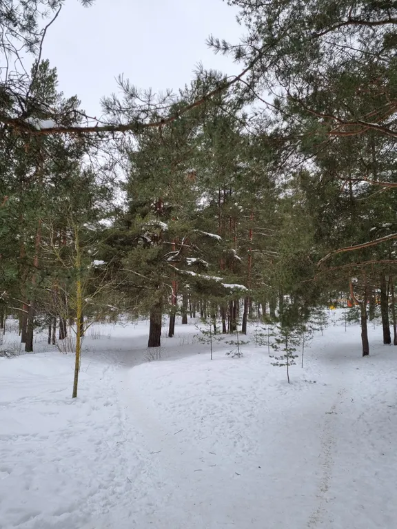 Комфортные апартаменты у озера