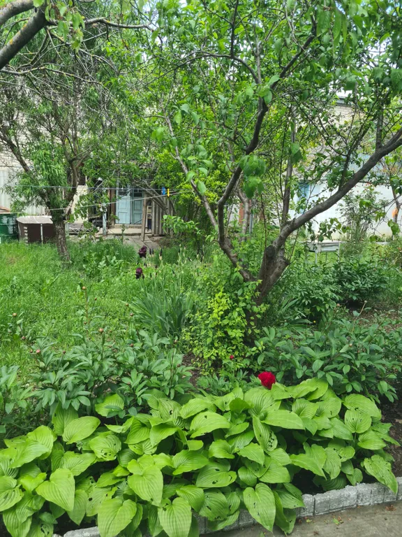 Дом в самом центре Кабардинки