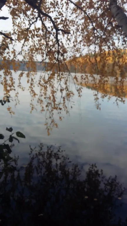 Уютная квартира на берегу озера Кисегач