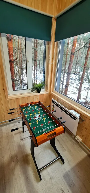 Дом в Lesavushka