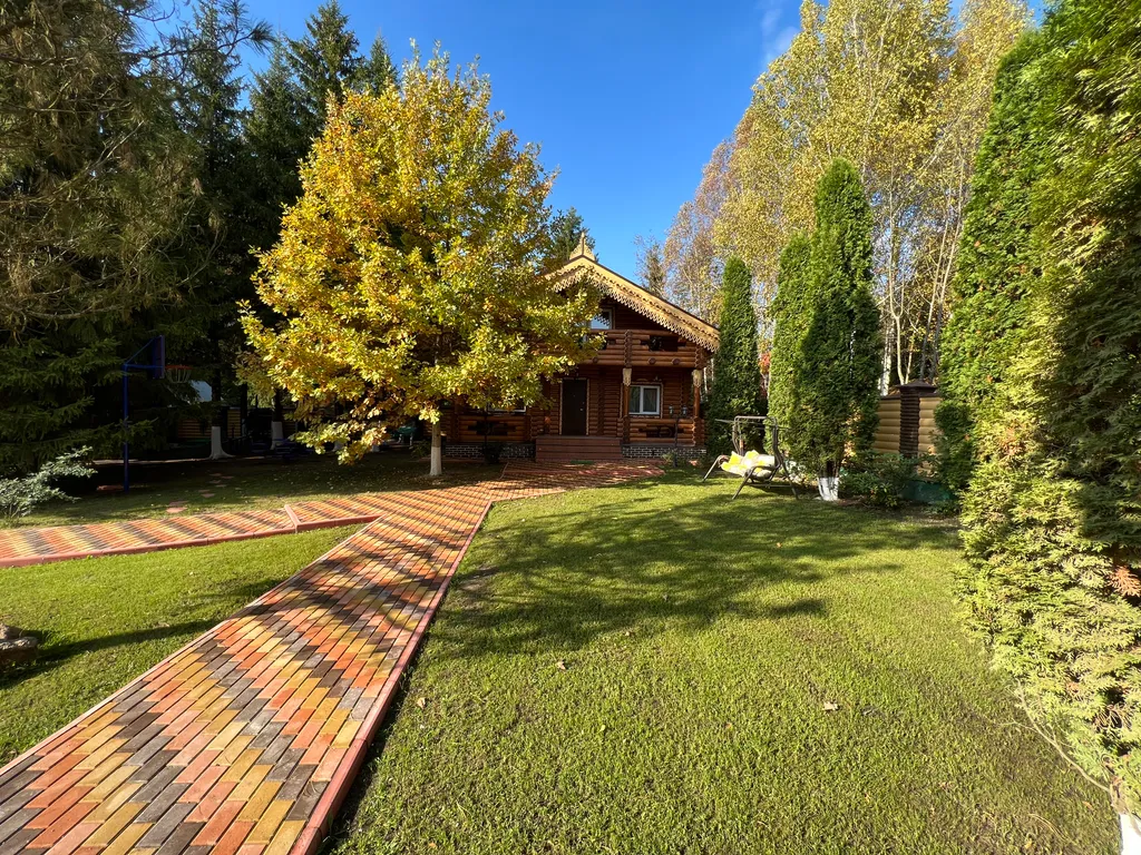 Терем в лесу