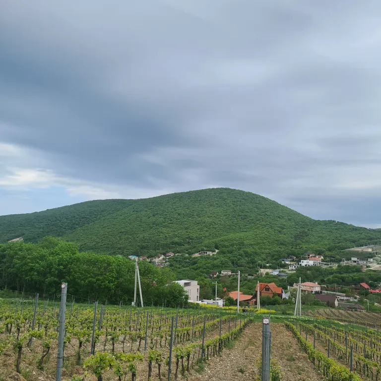 Коттедж Дом рядом с чистым морем с уникальным можжевеловым лесом — Федотовка