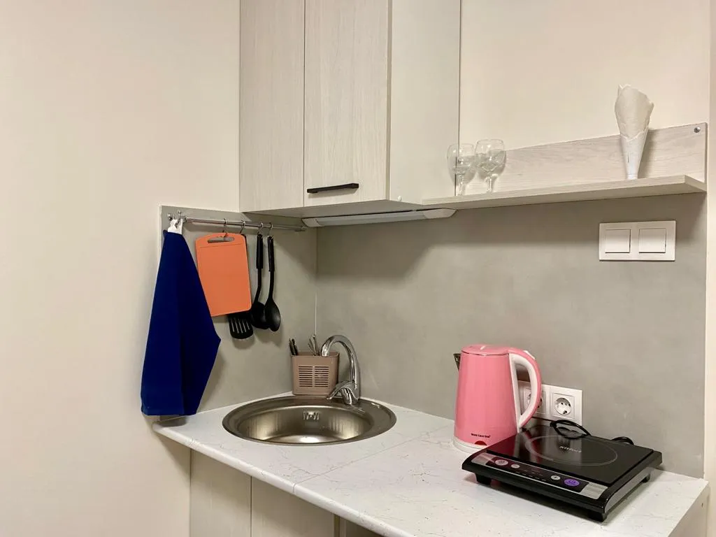 Уютная квартира-студия на Площади Маркса