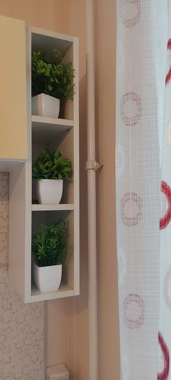 В Солнечном микрорайоне