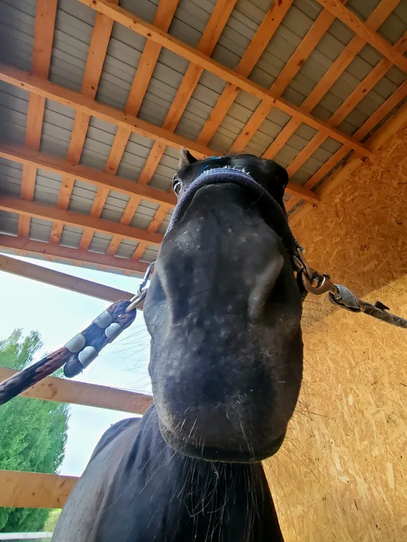 Дизайнерский домик на семейной экоферме в Немцово